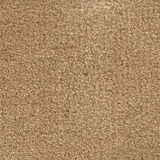 Ковролин Radici Admiral Stone 2227 фото 1 | FLOORDEALER